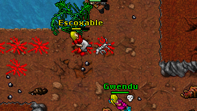 Escoxable on screen
