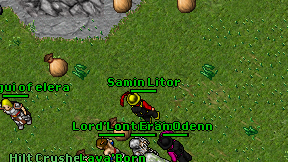 Samin Litor on screen