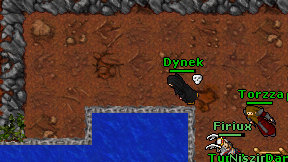 Dynek on screen