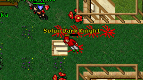 Solun Dark Knight on screen