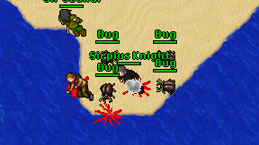 Sirplus Knight on screen