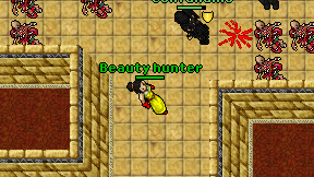Beauty hunter on screen
