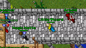 Little Wizard on screen