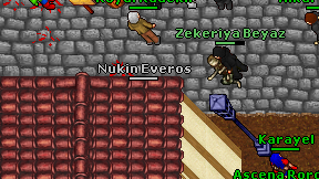 Nukin Everos on screen