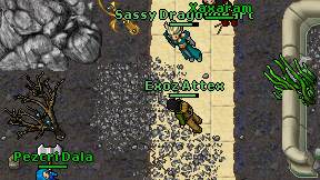Sassy Dragonheart on screen