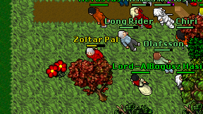 Zoltar Pal on screen