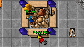 Kess Sapi on screen