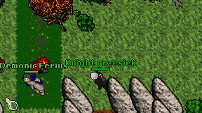 Knight grzesiek on screen