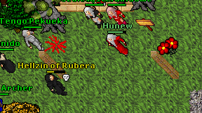 Hunew on screen