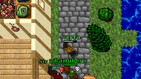 Nayfa on screen
