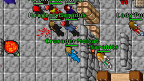 Crusader Molcat on screen