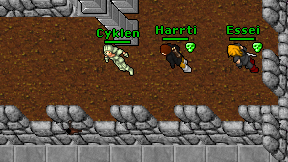 Cyklen on screen
