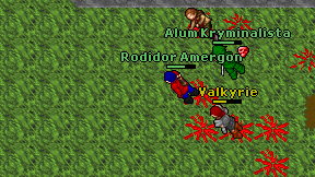 Rodidor Amergon on screen