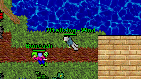 Vitalizing-Wind on screen
