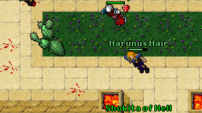 Harunus Hair on screen