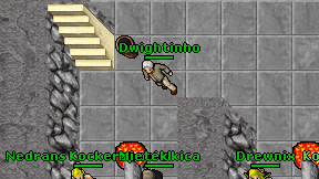 Dwightinho on screen