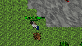 War Caique on screen