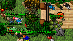 Pexegiz on screen