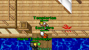 Templarian on screen