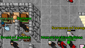 Distwix on screen