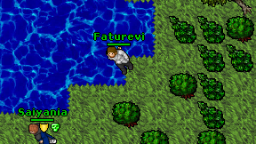 Faturevi on screen