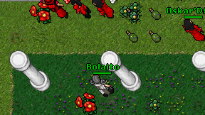 Bolaito on screen