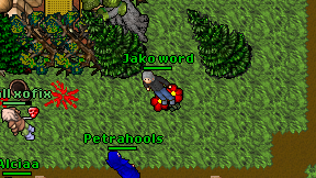 Jako word on screen
