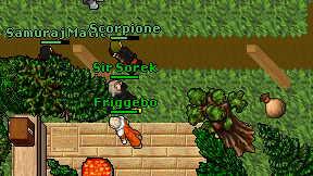 Sir Sorek on screen