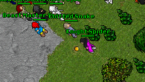 Knight Spider on screen