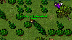Matys Reloaded on screen