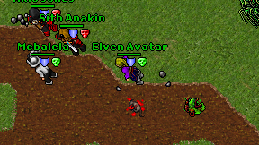 Elven Avatar on screen