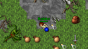 Rokkz on screen