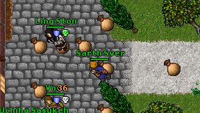 Sarth Sver on screen