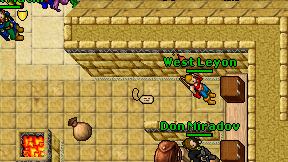 West Leyon on screen