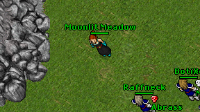 Moonlit Meadow on screen