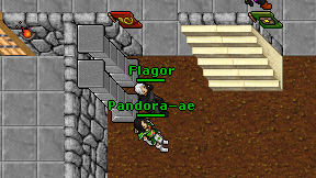 Flagor on screen