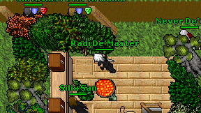 Radi De'Master on screen