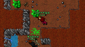 Derega on screen