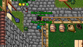 Marii Druid on screen