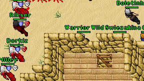 Warrior Wild on screen