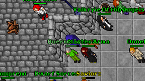Querwo Icebolt on screen