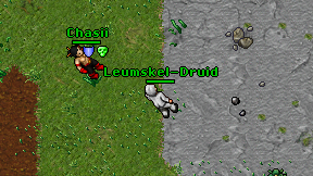 Leumskel-Druid on screen