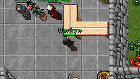 Harkyn on screen