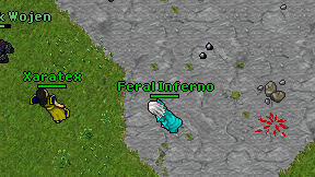 Feral Inferno on screen
