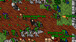 Goleara Arax on screen