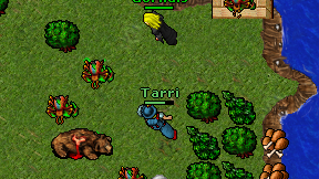 Tarri on screen