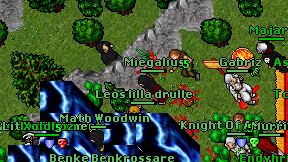 Miegalius on screen