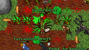 Graue Asche on screen