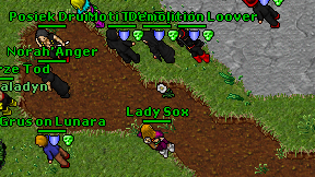Lady Sox on screen
