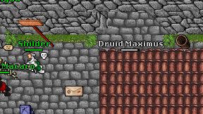 Druid Maximus on screen